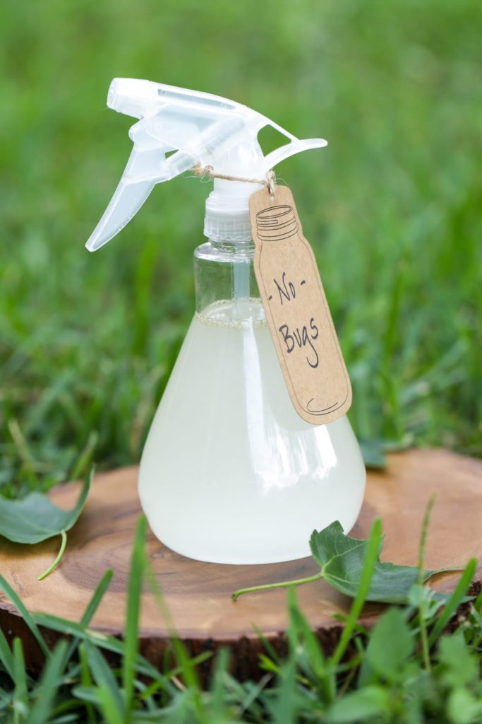 Camp Without the Bites: A Fast and Effective Outdoor Bug Repellent Survival Manual