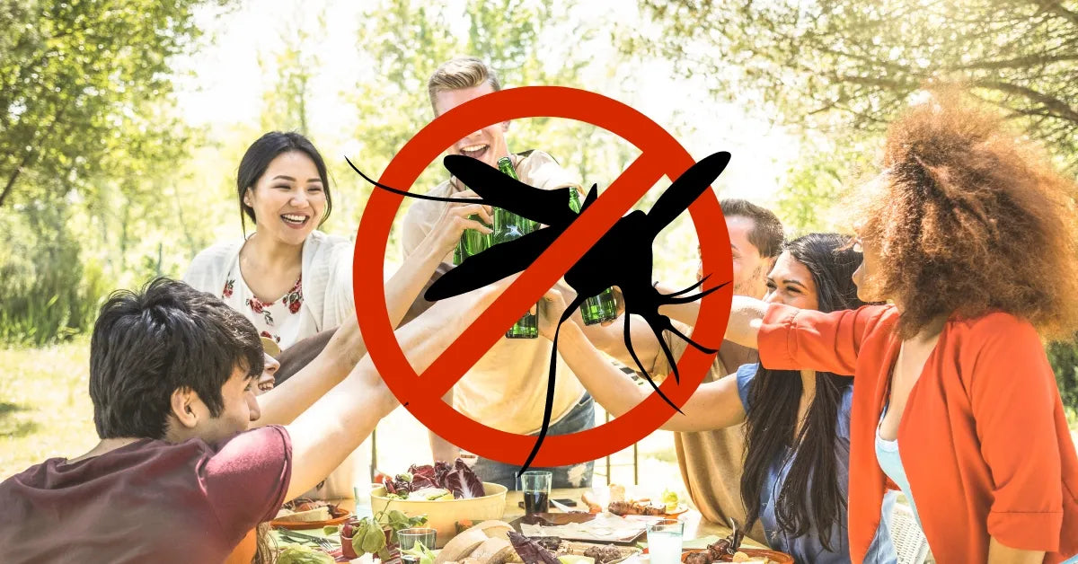 Goodbye Citronella Candles: How to Host a Mosquito-Free Outdoor BBQ This Summer