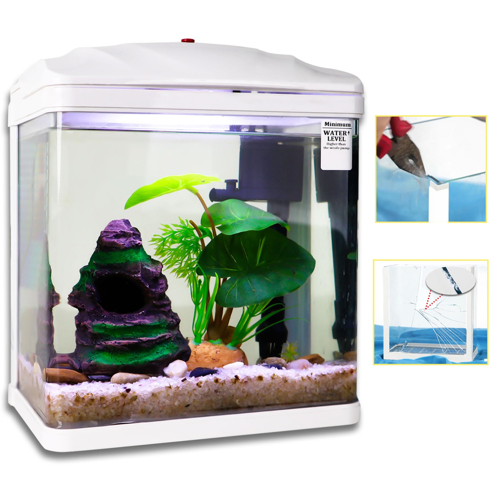 ‌How to Choose the Perfect Aquarium for Your Home‌