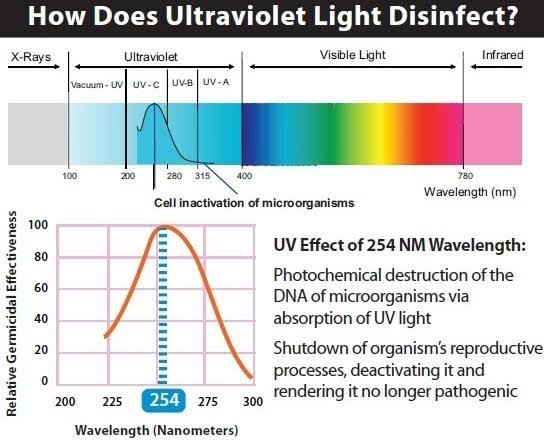 Medical Light Science Explained: The Difference Between UV Disinfection Lamps and Natural UV Protection