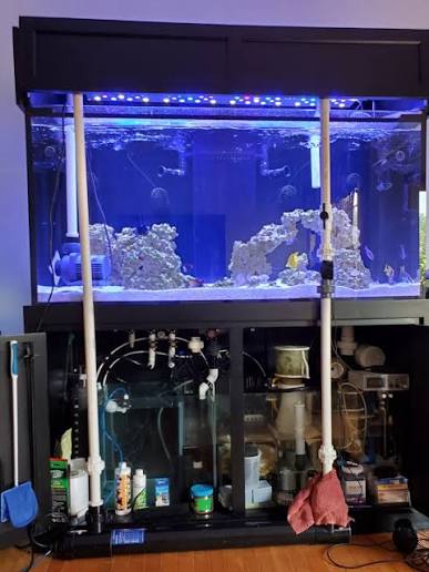 How to Install an Aquarium UV Sterilizer: A Complete Step-by-Step Installation Guide