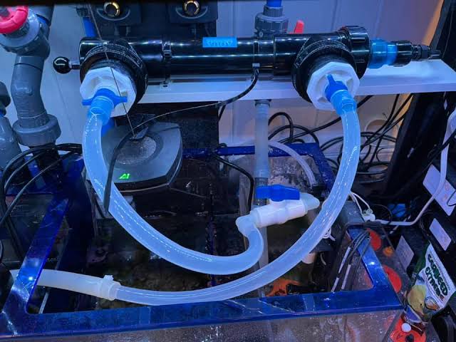 How Long Should You Run a UV Sterilizer in an Aquarium Each Day? A Complete Guide to Optimal UV Sterilizer Runtime