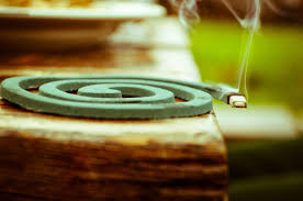 Mosquito Lamps vs. Mosquito Coils Which Is the More Eco-Friendly Way to Fight Mosquitoes?