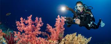 The Magic of Underwater Photography Lighting: Coral Reef Color Rendering Technology with a 200-Meter Depth Pressure-Resistant Ocean Spectrum Lamp