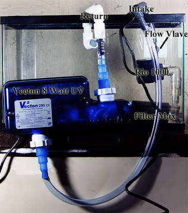 When Should You Replace Your Aquarium UV Sterilizer Bulb? Warning Signs, Lifespan, and Step-by-Step Replacement Tips