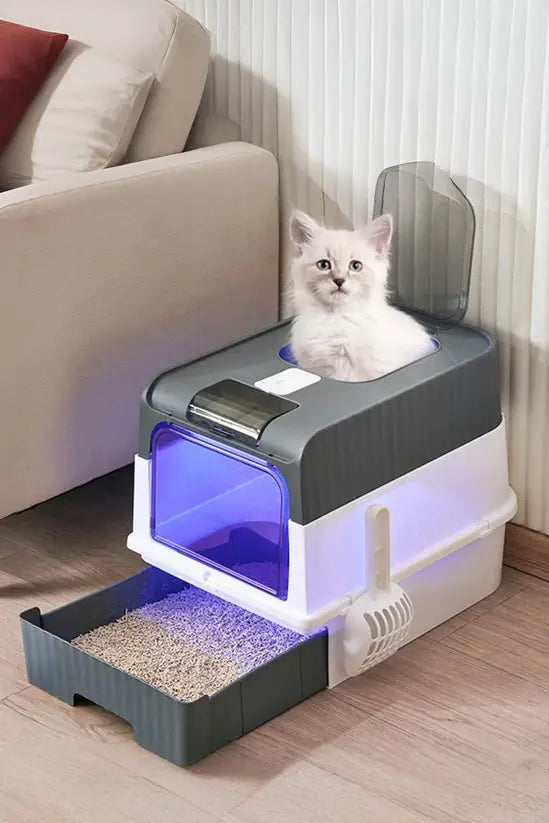 A Must-Have for Pet Households How UV Light Disinfection Keeps Cat Beds and Dog Toys Fresh, Clean, and Odor-Free