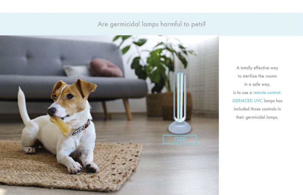 5 Things Every Pet Owner Must Know Before Turning On a UV Disinfection Device at Home
