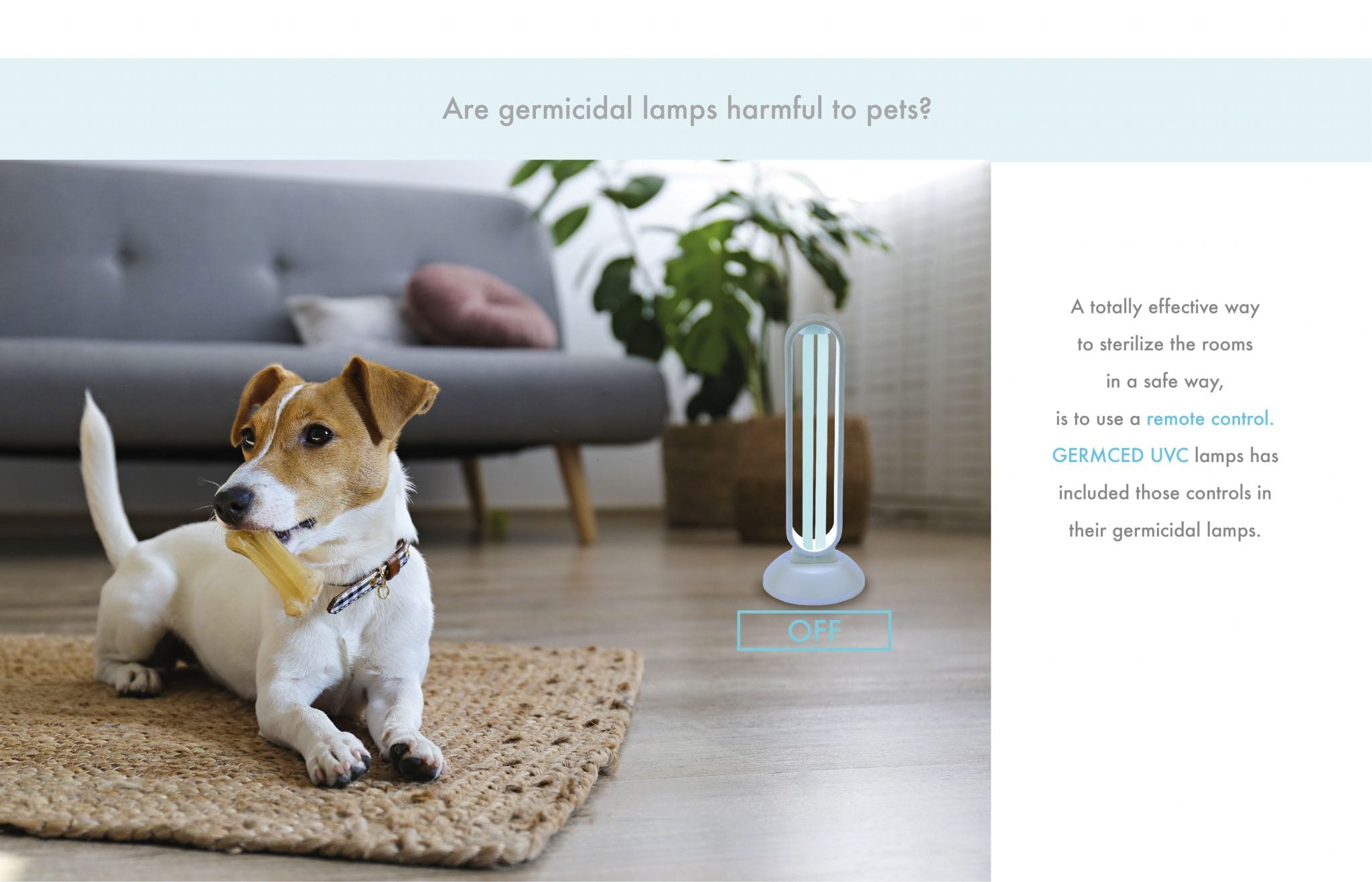 Not Just Odor Control: How UV-C Lamps Eliminate Fungus and Bacteria in Pet Bedding