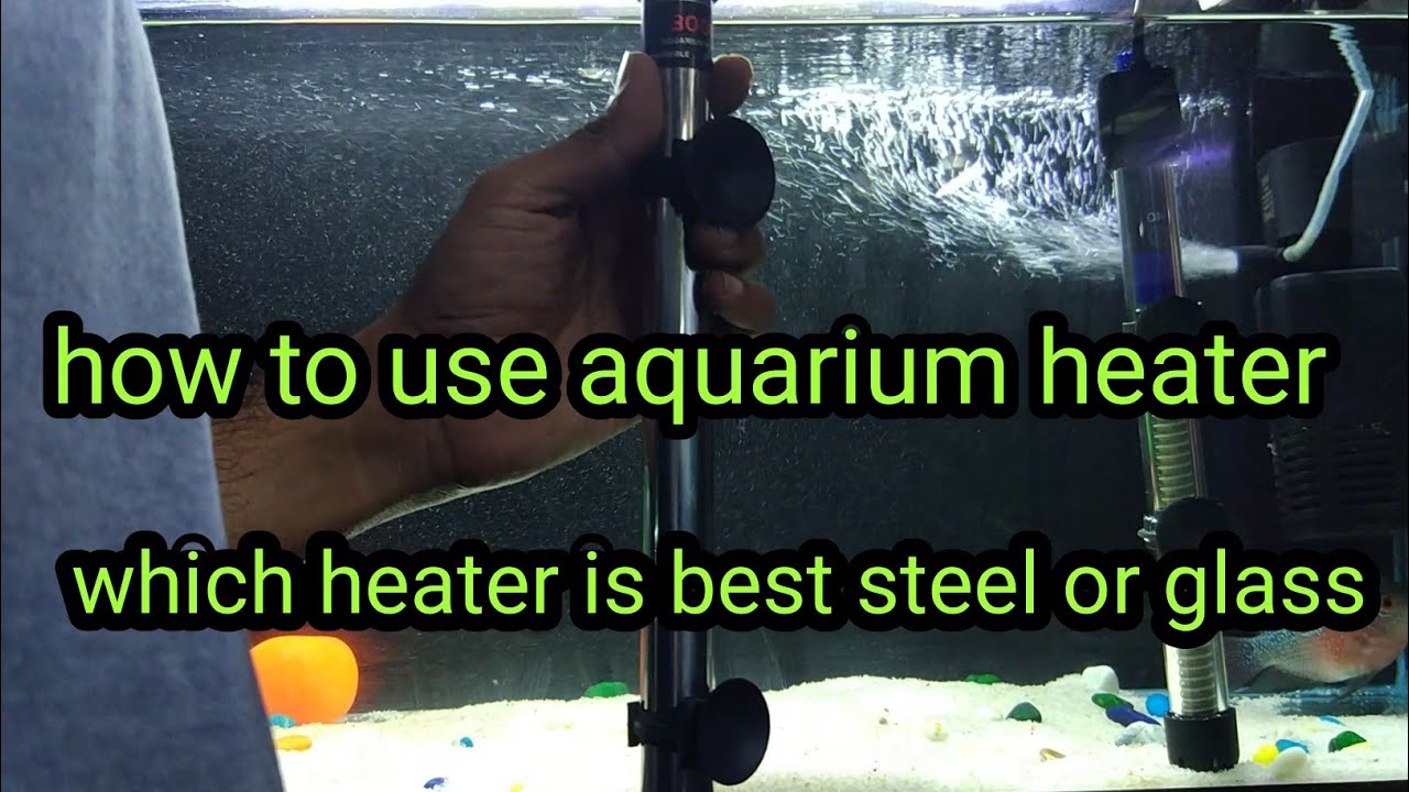 When Your Aquarium Heater Shows the Wrong Temperature: A Complete Step-by-Step Calibration Guide