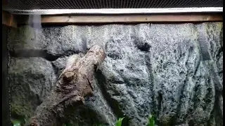 Super Quiet  Adjustable fogger  For my boa constrictor