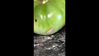 Lost my trust on this