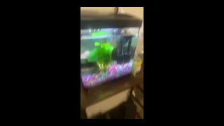 Very good tank