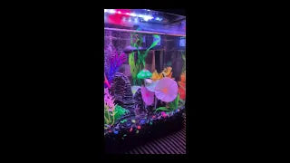 Best deal for your money