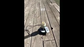 Smells like sunshine!