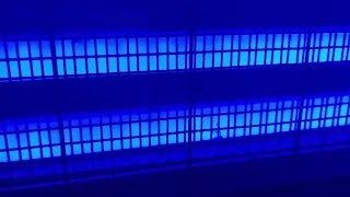 Powerful Super Large Solar Bug Zapper Outdoor for 8000 sq ft, Rechargeable Solar Mosquito Zapper wit
