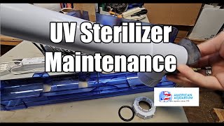 Starts Then Dies: A Practical Guide to Troubleshooting and Repairing UV Lamp Starters and Electronic Ignitors