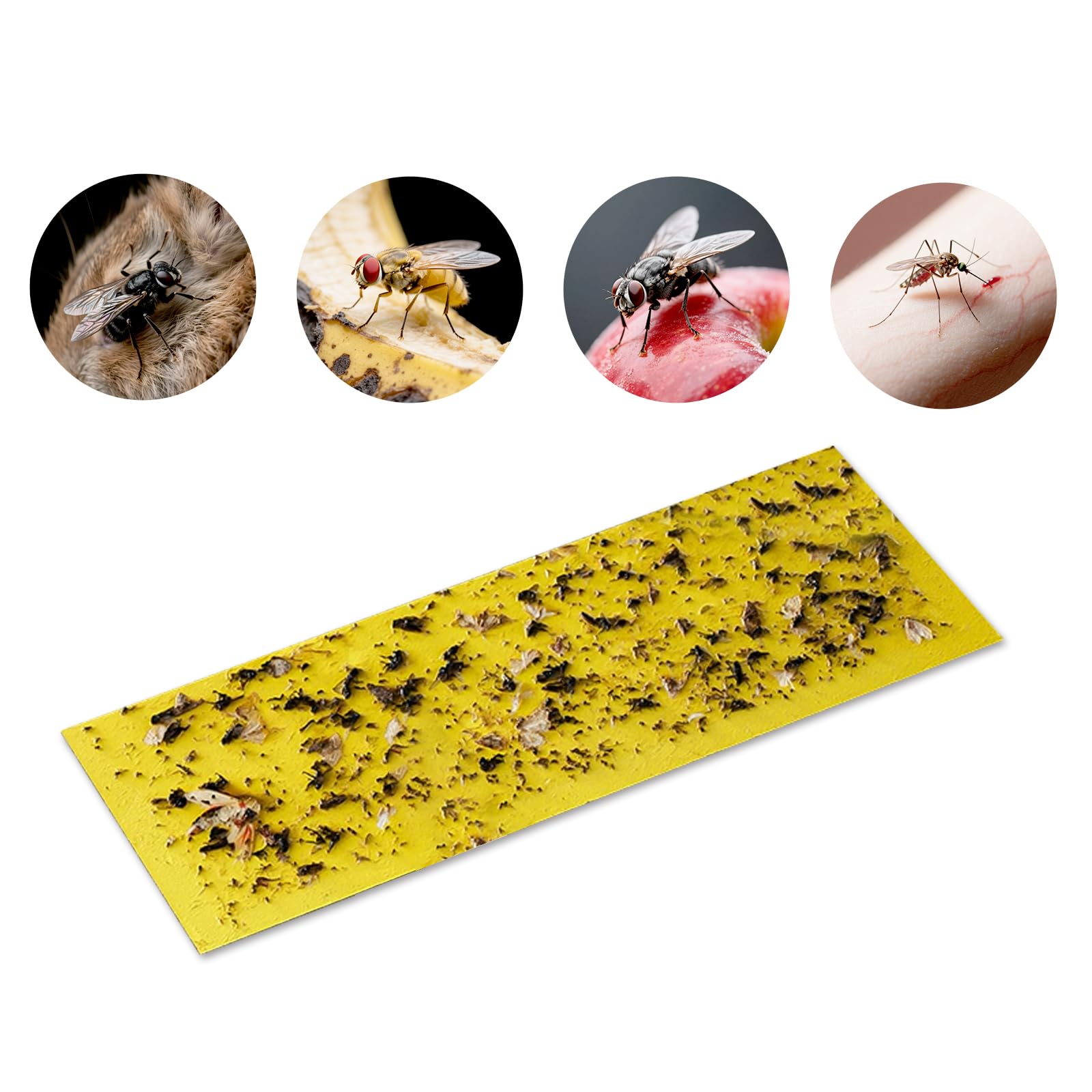 10 Pack Replacement Glue Board for Wall Sconce Fly Light Trap ZX-160 ZX-260