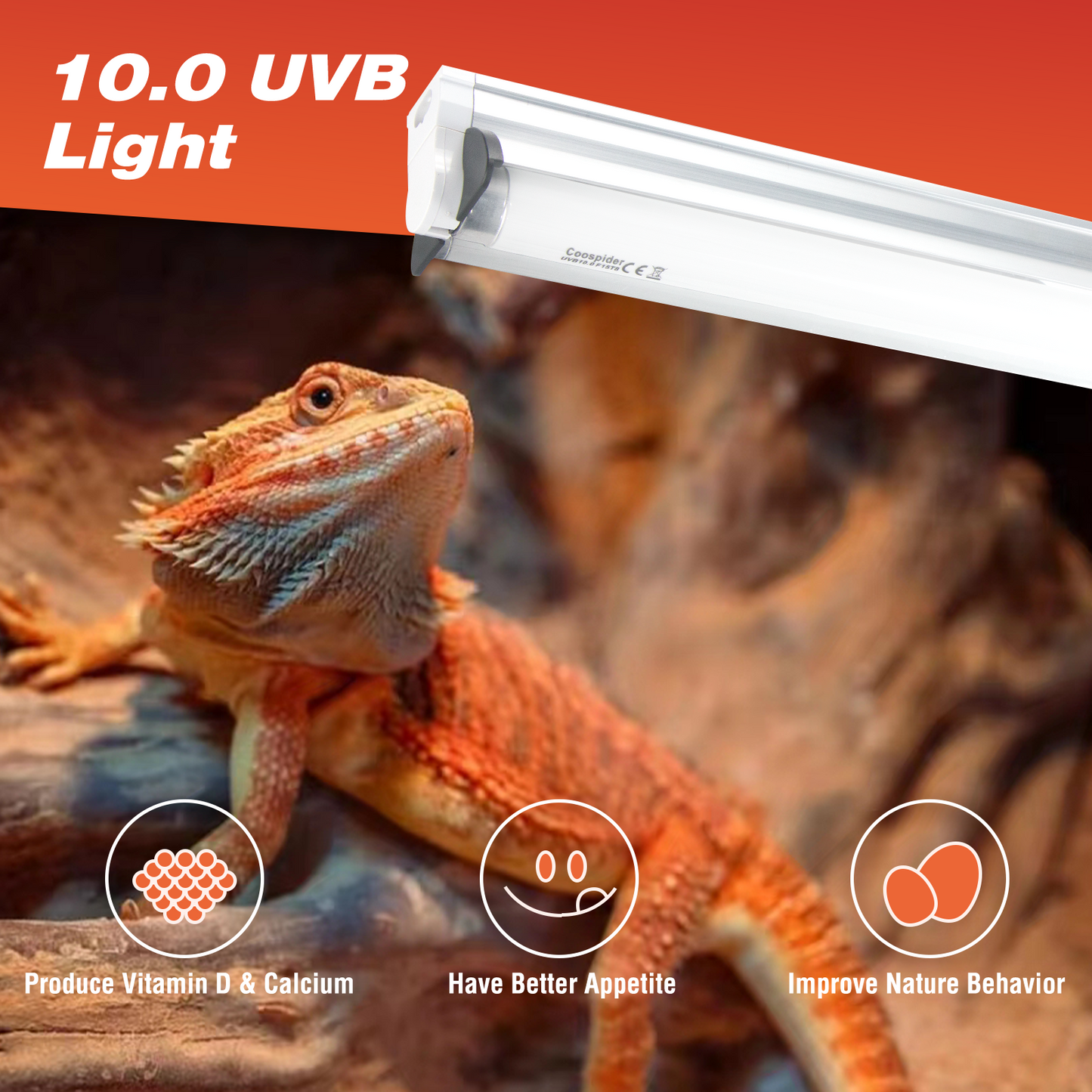 COOSPIDER T8 Strip UVB Reptile Lighting Fixture with 18-Inch 15 Watt UVB 10.0 Fluorescent Bulb Combo Kit 10-Percent UVB Desert Pet Habitat Light for Reptiles Amphibian