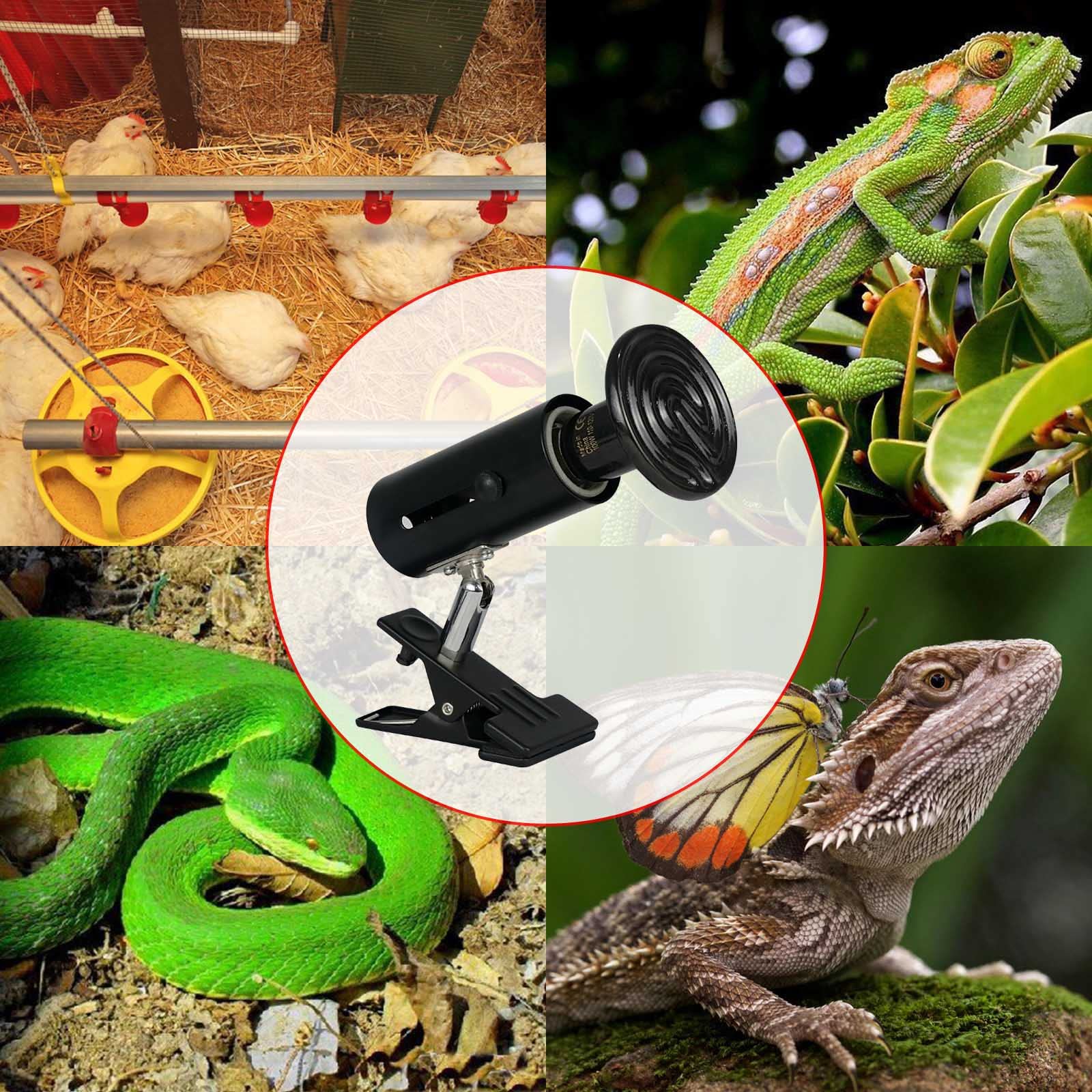 COOSPIDER Ceramic Heat Emitter Reptile Heat Lamp Bulb with 360 Rotatable Clip Stand No Light Emitting Brooder Coop Heater for Reptiles Turtle Chiken Snake Heater with Adjustable Bracket 100W