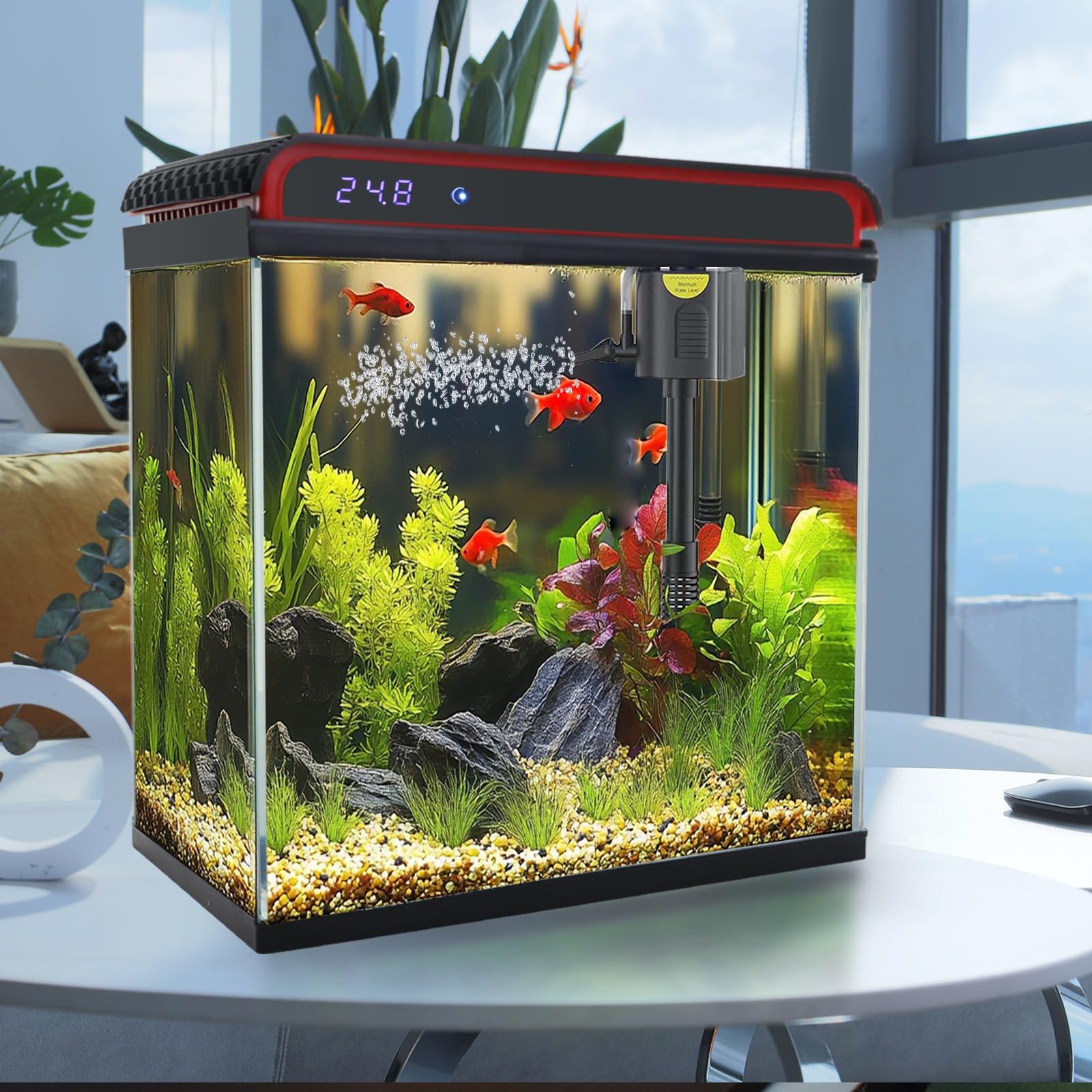 Glass 10 Gallon Fish Tank Aquarium Glass 10 Gallon Fish Tank Aquarium