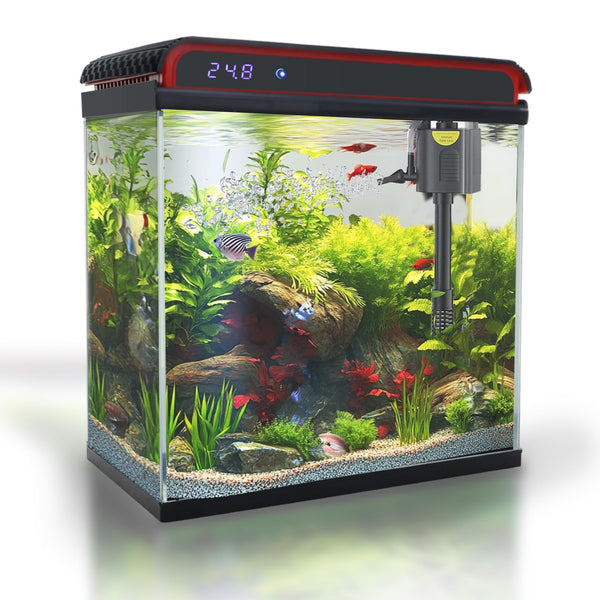 Glass_20_Gallon_Fish_Tank_Aqua