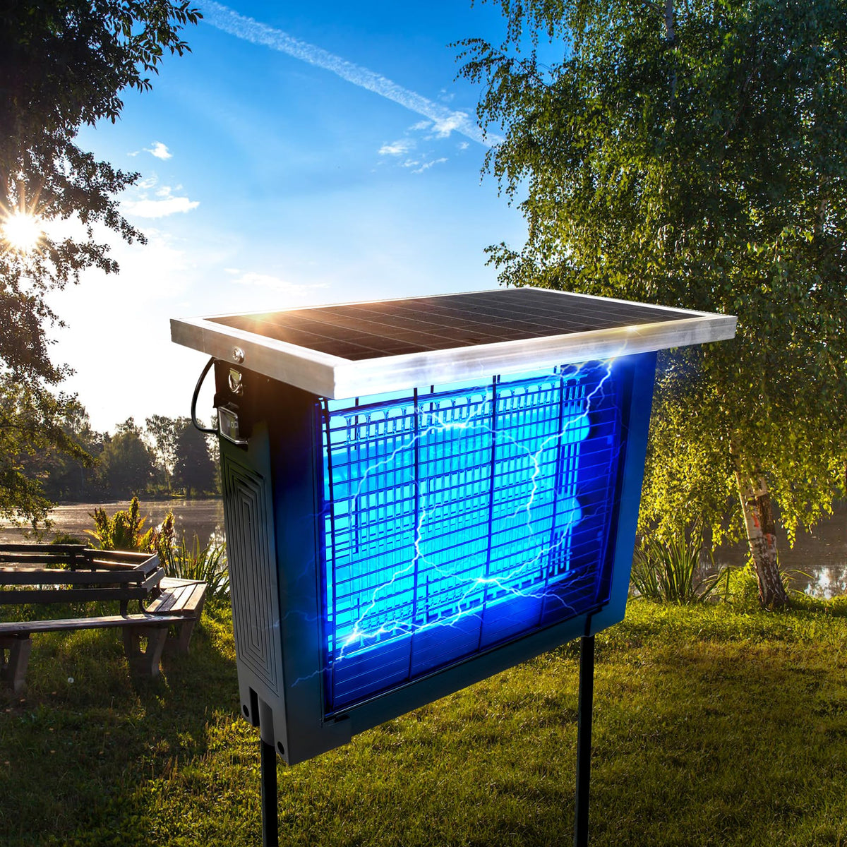 ‌Ultraviolet vs. Infrared: Two Sides of the Light Spectrum Shaping Our