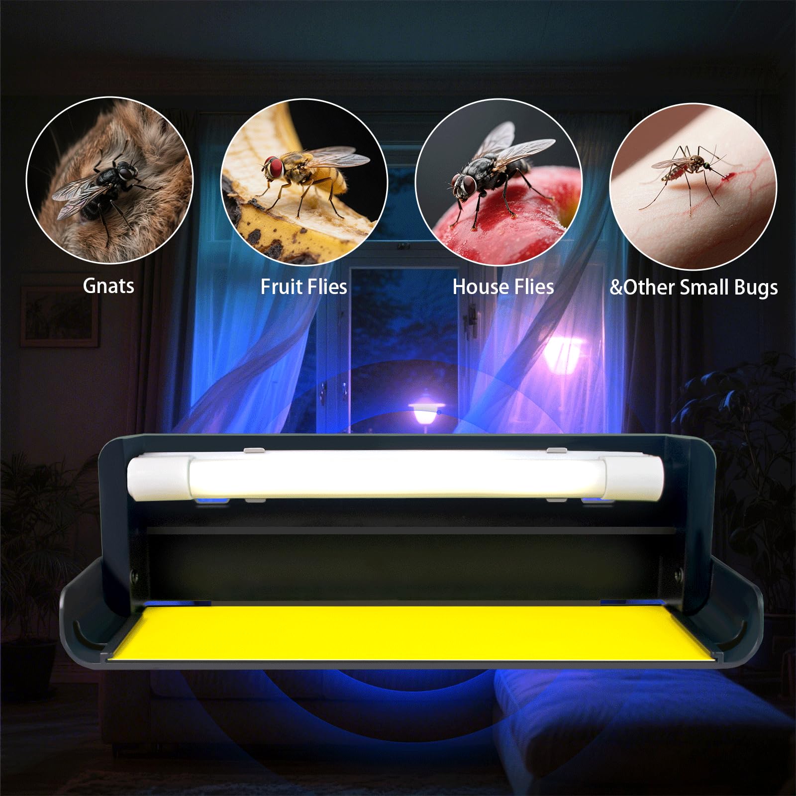 UV Light Fly Traps for Home Gnat Traps for House Indoor Insect Killer, Bug Catcher for Kitchen House & Fruit Flies Garage & Warehouse with 5 Glue Boards 6.5 Feet Power Cord