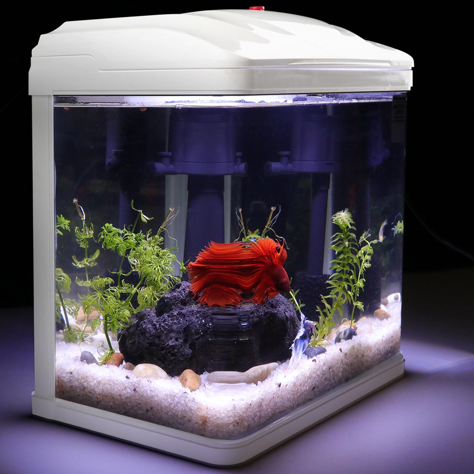 Small Fish Tank, 2 Gallon Glass Aquarium, Betta Fish Shrimp Goldfish Tropical Fish Starter Kit Self Cleaning with Filter & LED Plant Light, Ultra-Quiet Kids Room Decoration Fish Tank