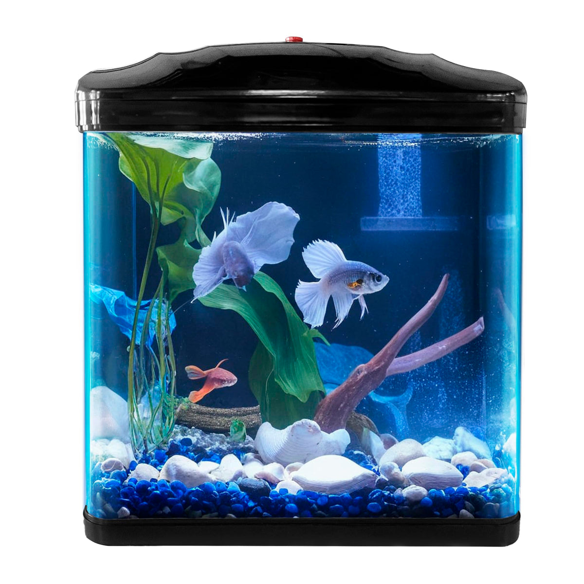 Best Small / Compact Desktop Aquarium Fish Tank