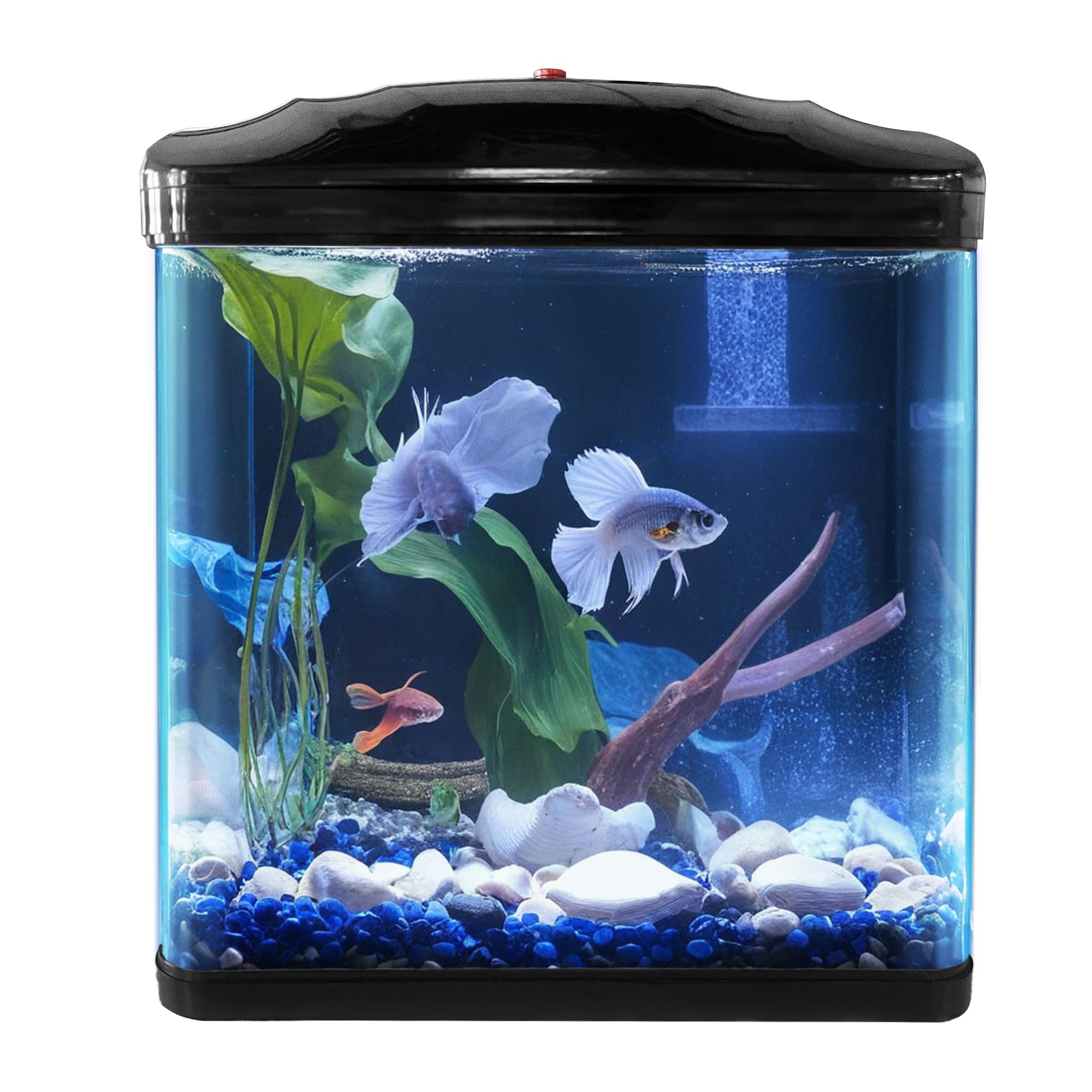 Small Fish Tank with Filter and LED Plant Light and Filter System, Betta Shrimp Guppy Jellyfish Starter Kit Self Cleaning Fish Tank Glass Aquarium