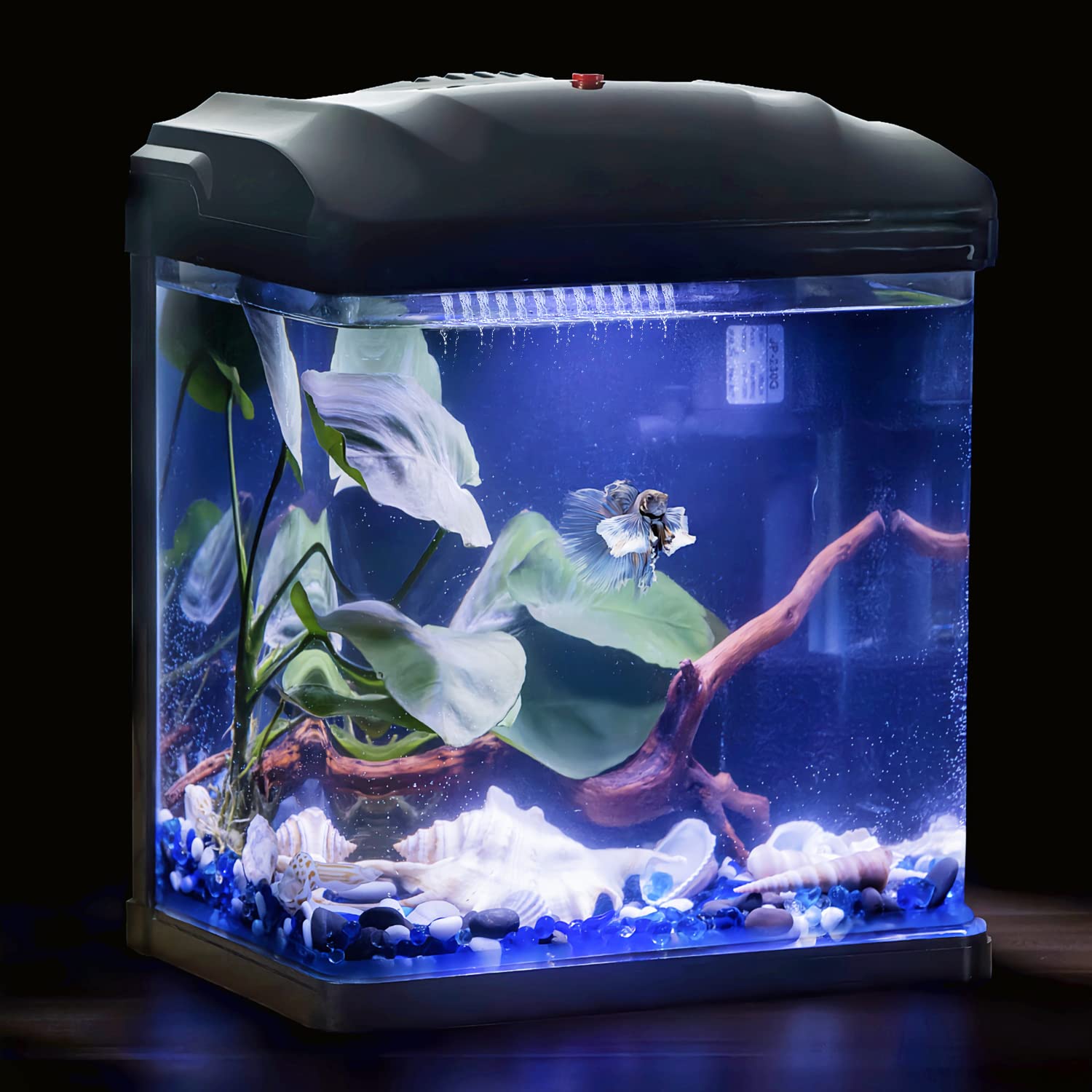 Betta Fish Tank 2 Gallon Glass Aquarium, Small Fish Tank with Filter and LED Plant Light, Betta Shrimp Guppy Jellyfish Starter Kit Self-Cleaning Tank Ultra Quiet Decoration Kids Room Gift