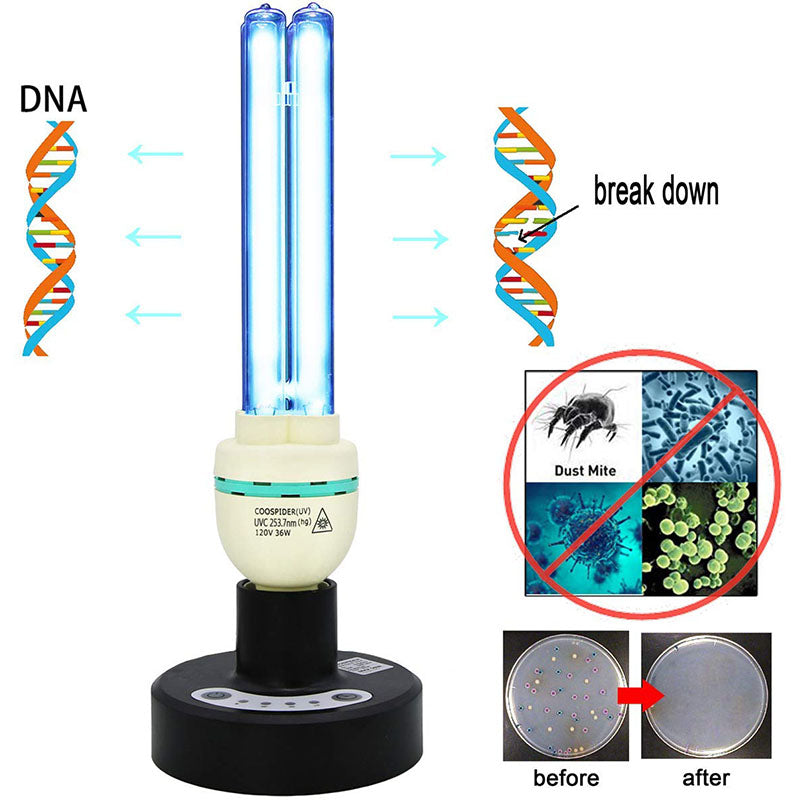 UV Germicidal Light Sterilization rate 99.99% Remote Control Timer 15/30/60 minutes 120V 36W Table Lamp,for Remove Musty (Ozone-free CTUV-36)