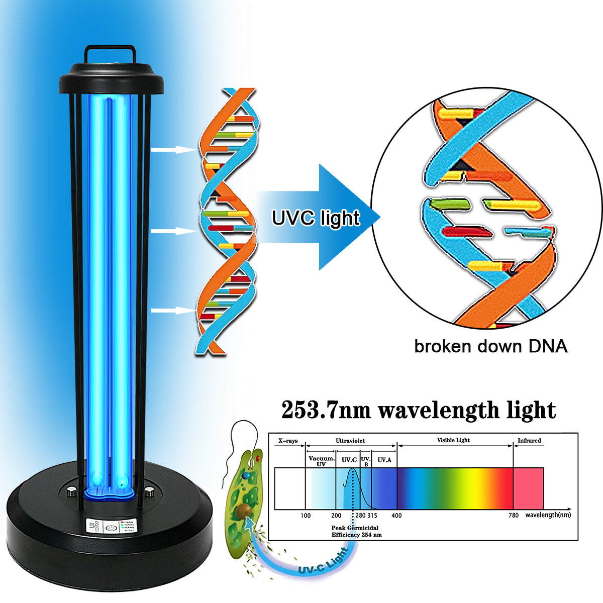 UV Germicidal Light, Remote Control Timer 15/30/60 minutes 110V 38W Table Lamp, Kills Germs and Bacteria (Ozone-free CTUV-38) New Arrival